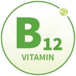 Buer Lecithin B12