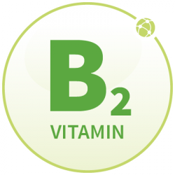 buerlecithin-vitamin-b2